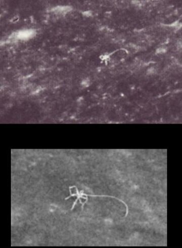 as8122209spiderthing.jpg