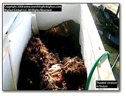 bigfoot.jpg bigfoot.jpg