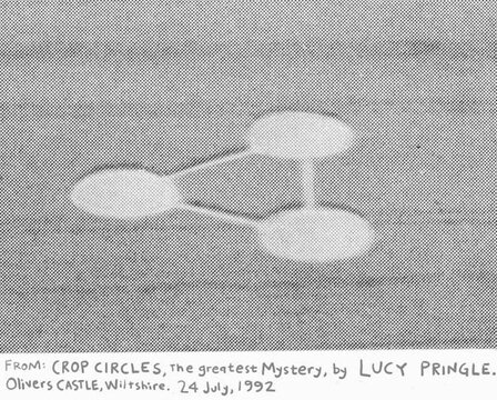 crop circle copy.jpg