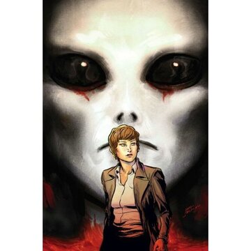 Nye Incidents cover.jpg