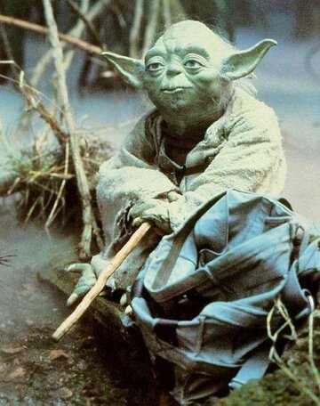 yoda_in_swamp.jpg yoda_in_swamp.jpg