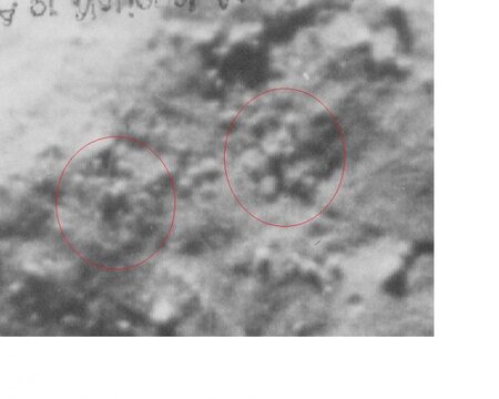 optical illusion.jpg