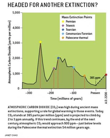 00037A5D-A938-150E-A93883414B7F0000_p71.jpg 00037A5D-A938-150E-A93883414B7F0000_p71.jpg