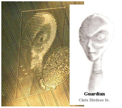 guardian_compare.jpg guardian_compare.jpg