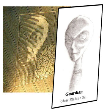 guardian_skew.jpg guardian_skew.jpg