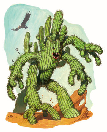 Arizona Cactus..jpg