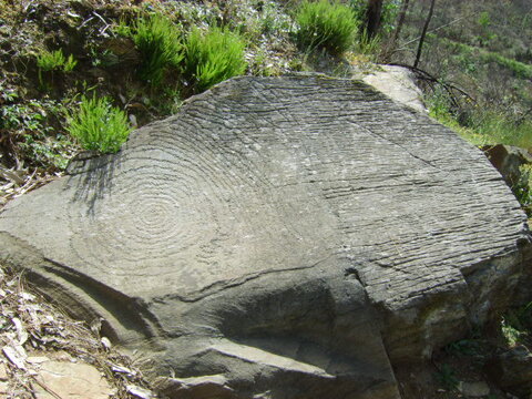 piodao6..JPG piodao6..JPG