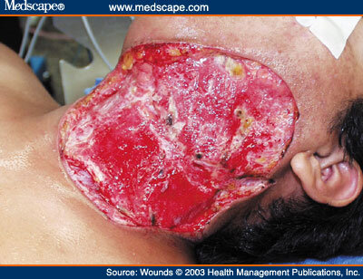 art-w460909.fig1.jpg art-w460909.fig1.jpg