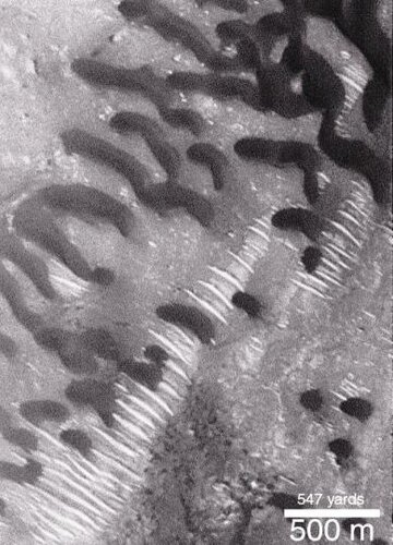 Mars dune .jpg