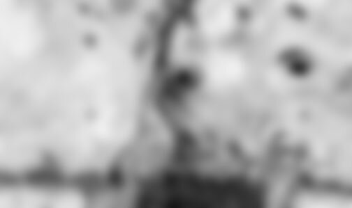 marleyfarmaerial-blurred.jpg