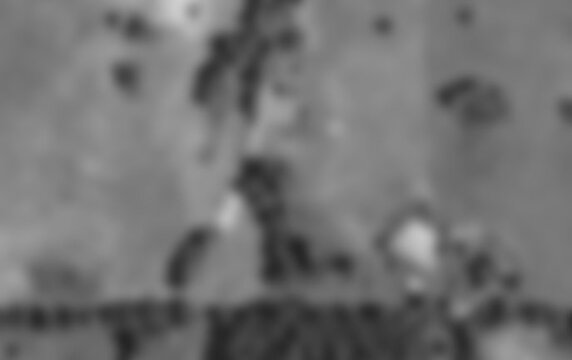 Marley-Woods-Google-Earth-2.jpg Marley-Woods-Google-Earth-2.jpg