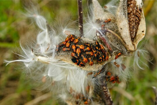 DSC09169.jpg DSC09169.jpg