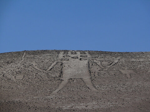 Atacama Giant.jpg