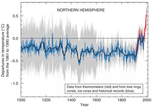 Hockey_stick_chart_ipcc_large.jpg