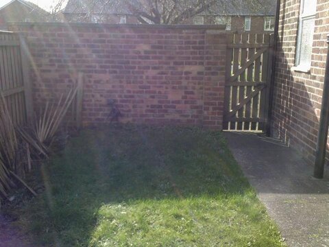 prestonalien.jpg prestonalien.jpg