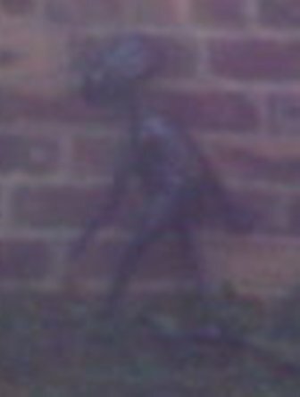 CreatureCloseUp.jpg CreatureCloseUp.jpg