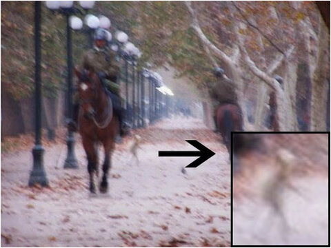 alien_in_park.jpg alien_in_park.jpg