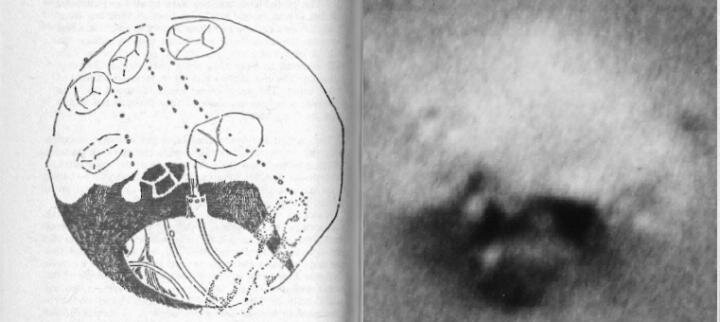 gl_sketch_photo_r199.jpg gl_sketch_photo_r199.jpg