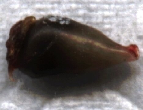 Theothersidelrg.jpg Theothersidelrg.jpg