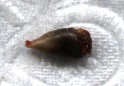 Highdpi.jpg Highdpi.jpg