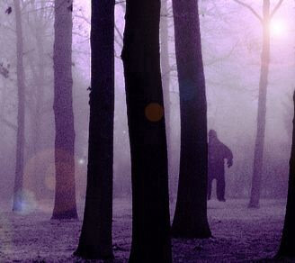 bigfootvirginia1.jpg bigfootvirginia1.jpg