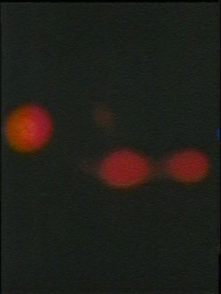 SKYLABVIEW.jpg SKYLABVIEW.jpg