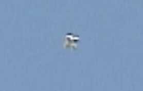 whatisaw.jpg whatisaw.jpg