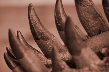 reptavianteeth.jpg reptavianteeth.jpg