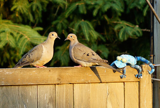 reptavianleader.jpg reptavianleader.jpg