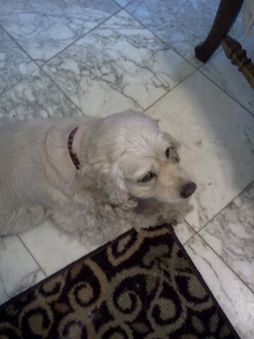 Jade-y.jpg Jade-y.jpg