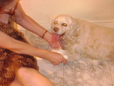 JadesLeg.JPG JadesLeg.JPG