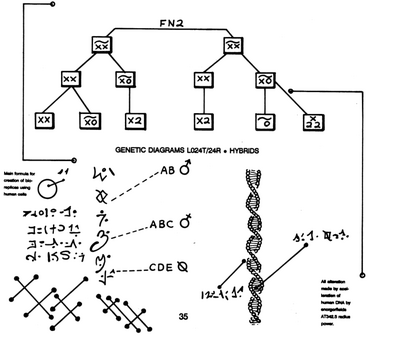 Dulce Base.png Dulce Base.png