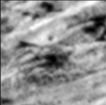 Picture 3.png Picture 3.png