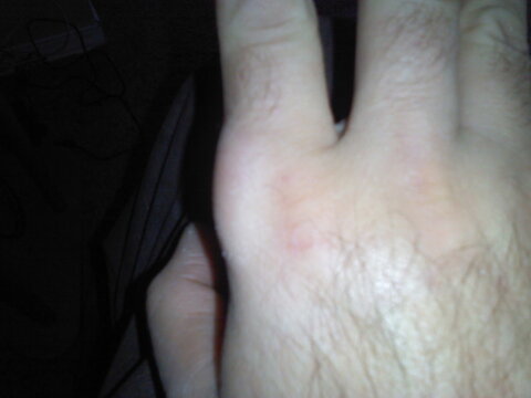 1113121441.jpg 1113121441.jpg