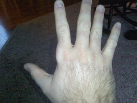 1113121442.jpg 1113121442.jpg