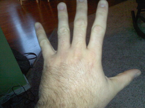 1113121442a.jpg 1113121442a.jpg