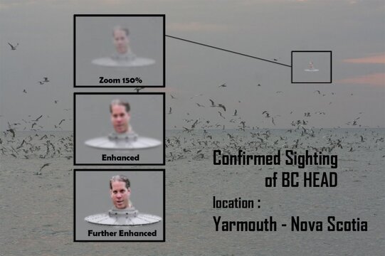 bghead case zulu0121.jpg bghead case zulu0121.jpg