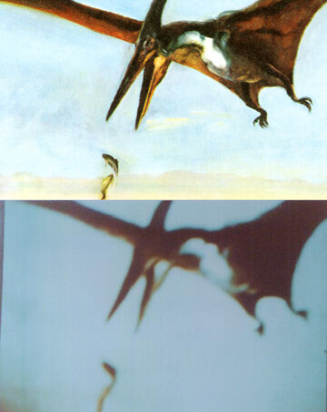 Life_Before_Man-Image+Meier_Image-small.jpg Life_Before_Man-Image+Meier_Image-small.jpg