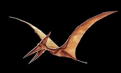 pterosaur.JPG