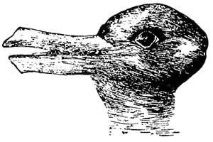 rabbit-duck.gif