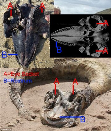 Untitled.jpg Untitled.jpg