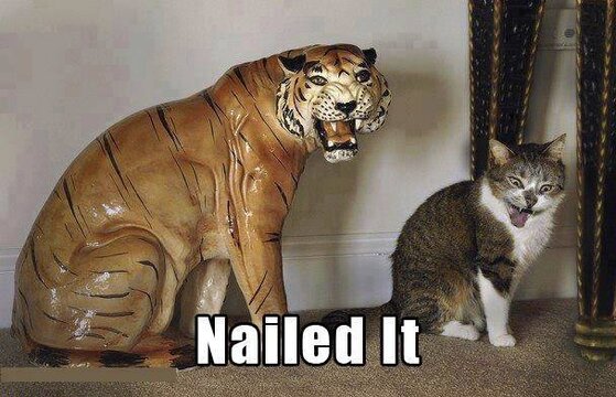 Nailed it.jpg