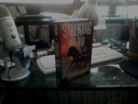 copy 0 STH.jpg copy 0 STH.jpg