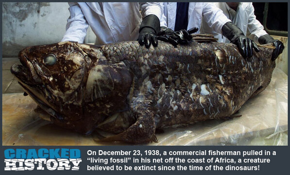 December-23-1938-Dinosaur-Fish-Found.jpg December-23-1938-Dinosaur-Fish-Found.jpg