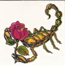 The_Scorpion_and_the_Rose_by_laztitachi.jpg The_Scorpion_and_the_Rose_by_laztitachi.jpg