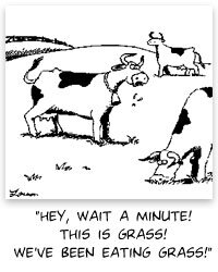 larsoncowsgrass.jpg larsoncowsgrass.jpg