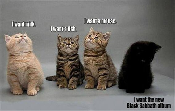 Wanting kitties.jpg