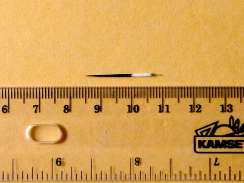porcupine quill.jpg porcupine quill.jpg