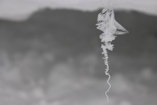 one line.jpg one line.jpg