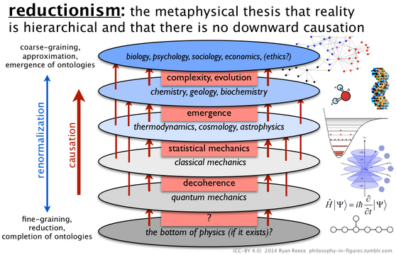 reductionism.png reductionism.png
